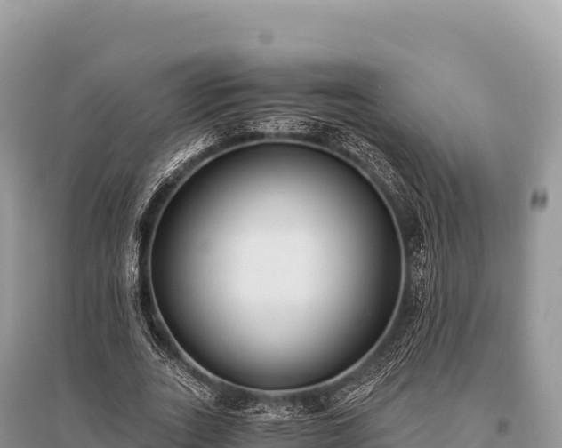 X0000096180727200801251215