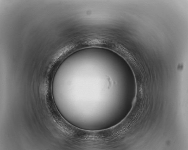 X0000096180732200801251215