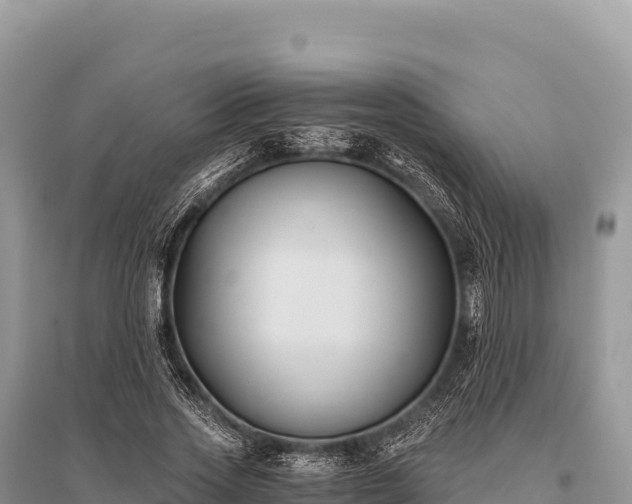 X0000096180733200801251215