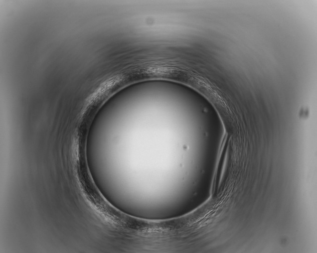 X0000096180734200801251215