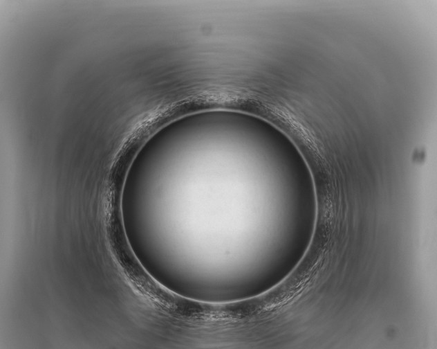X0000096180736200801251215
