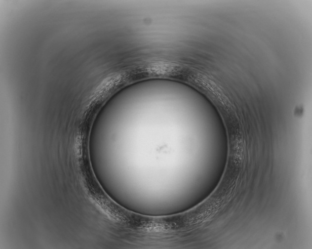 X0000096180738200801251215