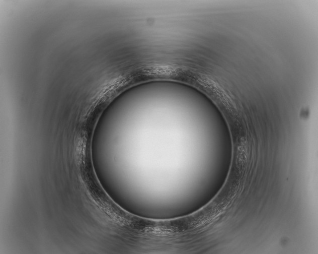 X0000096180739200801251215