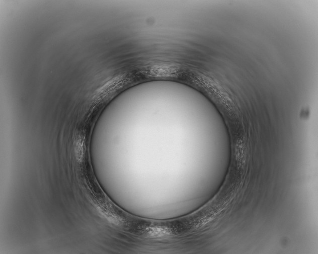 X0000096180741200801251215