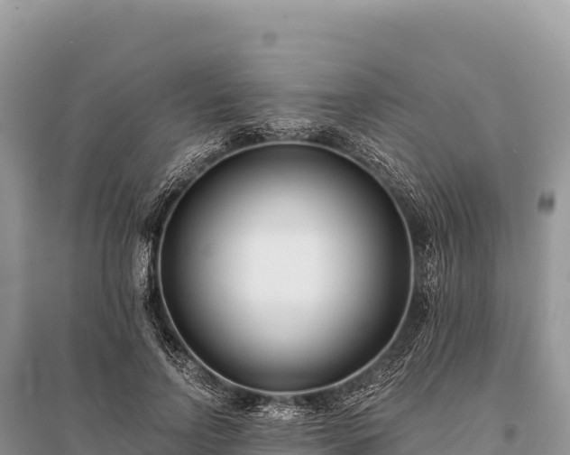 X0000096180742200801251215