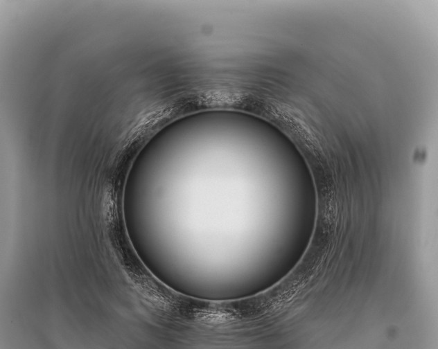 X0000096180743200801251215