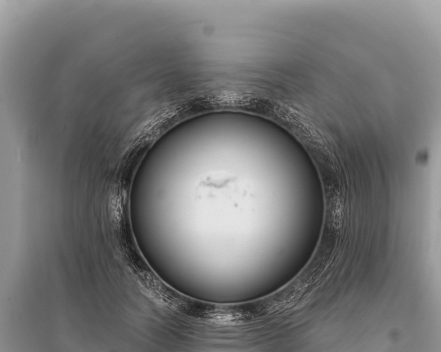 X0000096180746200801251215