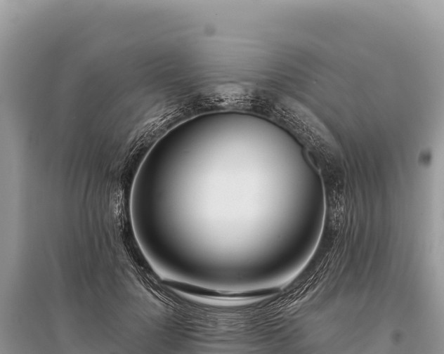 X0000096180748200801251215