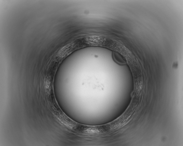 X0000096180749200801251215
