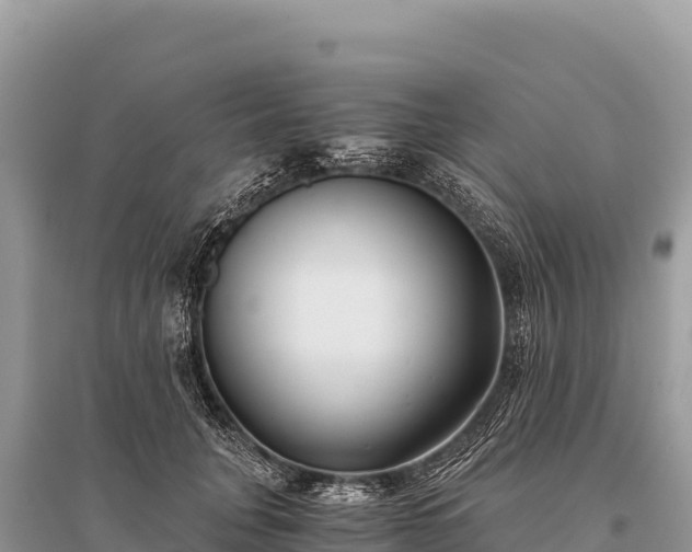 X0000096180751200801251215