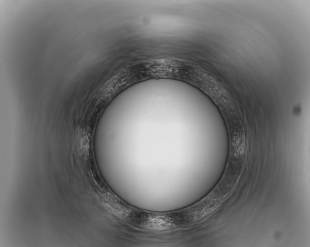 X0000096180753200801251215