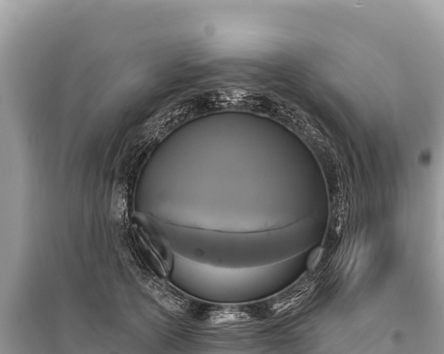 X0000096180754200801251215