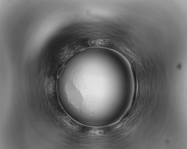 X0000096180760200801251215