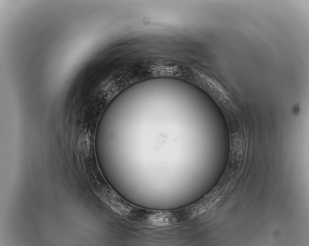 X0000096180761200801251216
