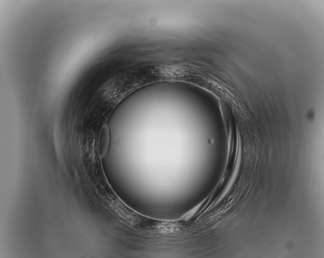 X0000096180762200801251216
