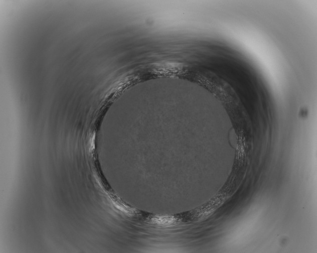 X0000096180767200801251216