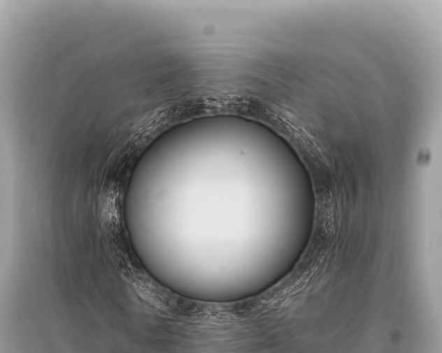 X0000096180770200801251215