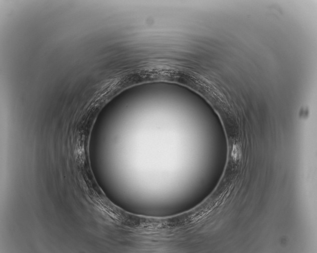X0000096180771200801251215