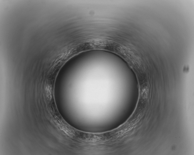 X0000096180772200801251215