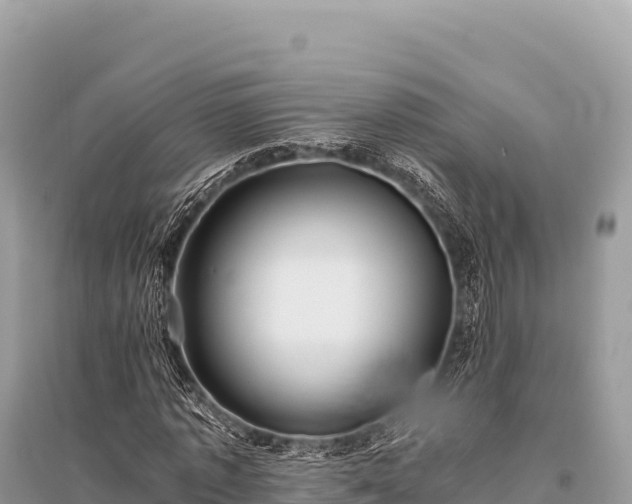 X0000096180773200801251215