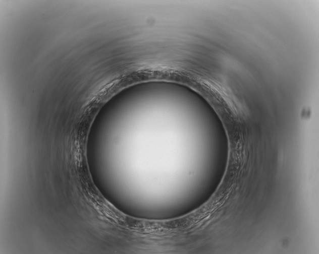 X0000096180774200801251215
