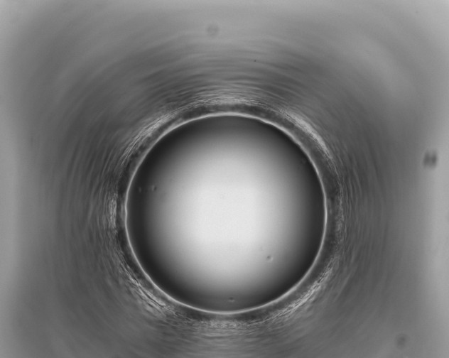 X0000096180777200801251215