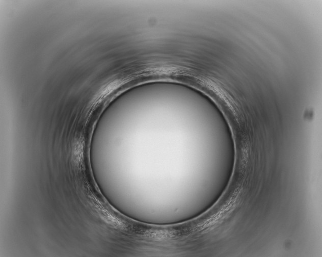 X0000096180778200801251215