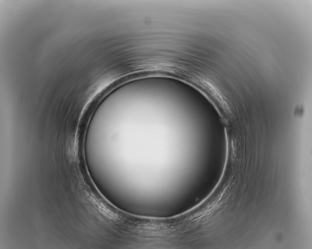 X0000096180780200801251215