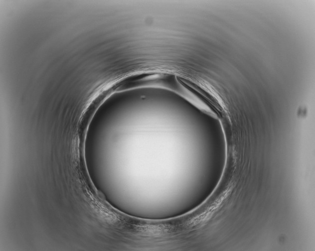 X0000096180781200801251215
