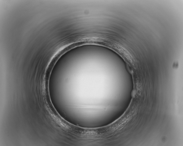 X0000096180784200801251215