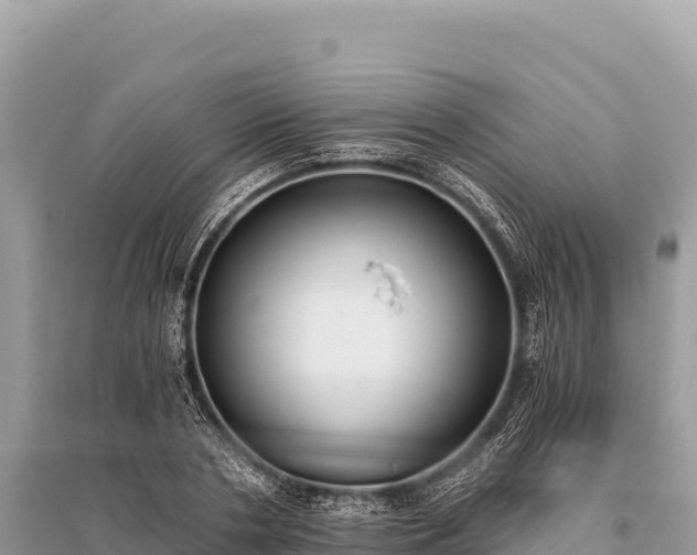 X0000096180786200801251215