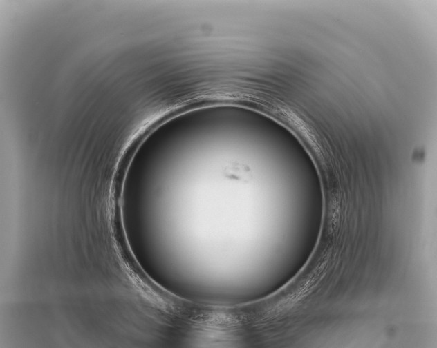 X0000096180787200801251215