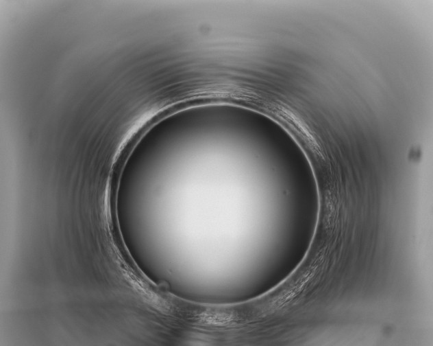 X0000096180788200801251215