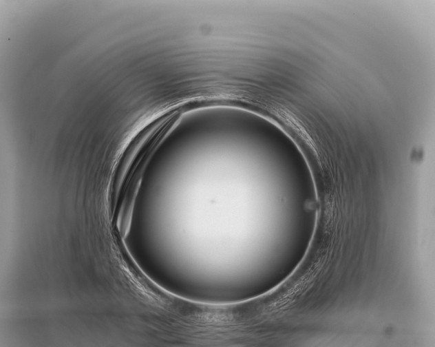 X0000096180789200801251214