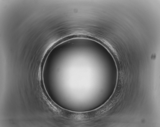X0000096180791200801251214