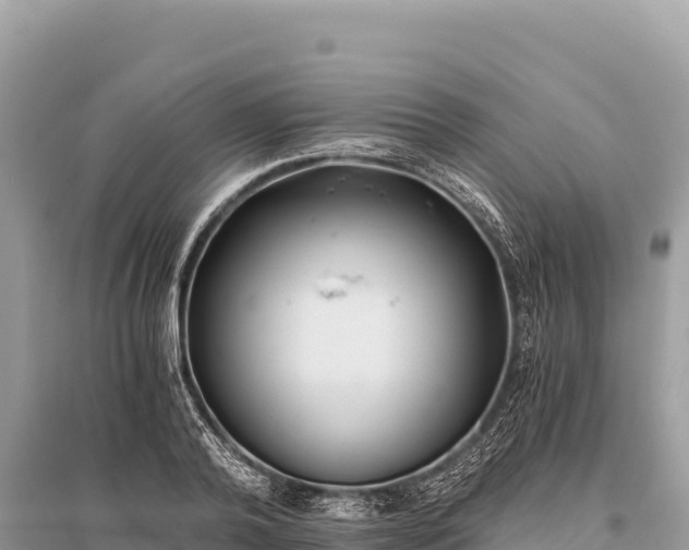 X0000096180792200801251214