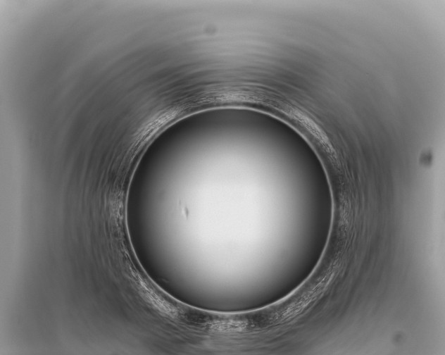 X0000096180793200801251214