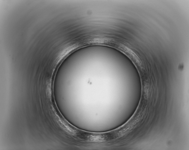 X0000096180794200801251214