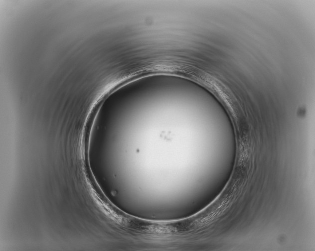 X0000096180795200801251214