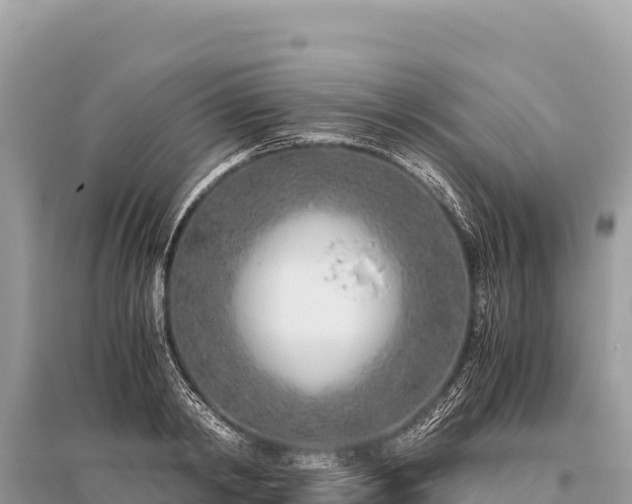X0000096180798200801251214