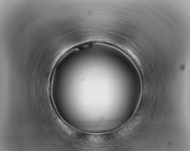 X0000096180799200801251214