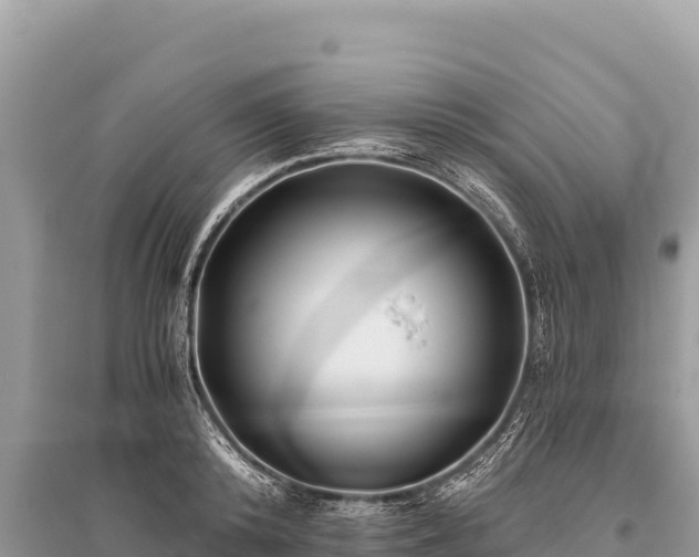 X0000096180800200801251214
