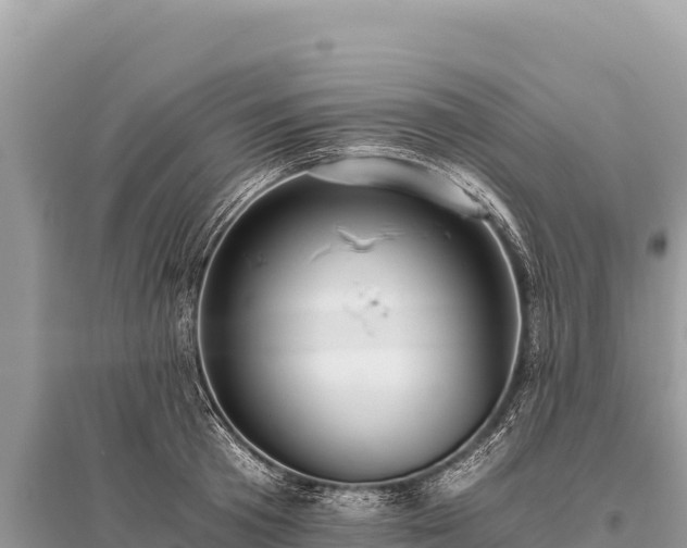 X0000096180801200801251214