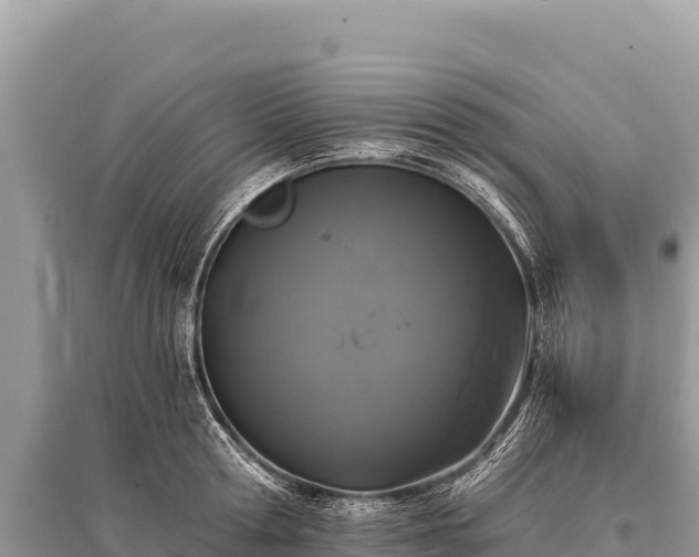 X0000096180802200801251214