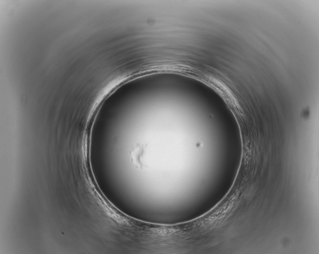 X0000096180804200801251214