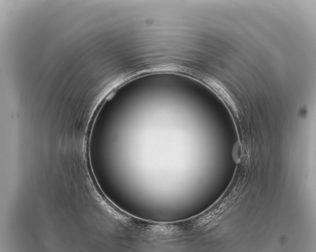 X0000096180805200801251214