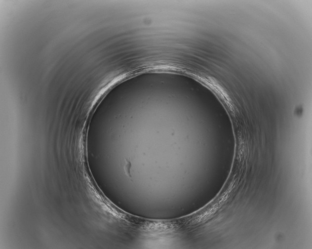 X0000096180806200801251214