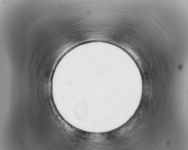 X0000096180807200801251214