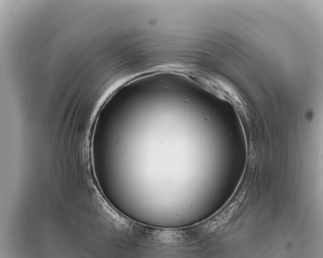 X0000096180808200801251214