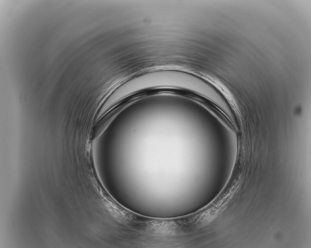 X0000096180809200801251214